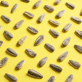 GRAINE TOURNESOL 150G