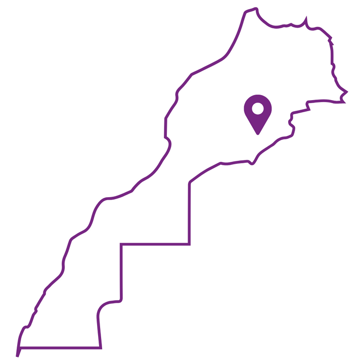 LE MAROC, BERCEAU ORIGINEL DE LA DATTE MEJHOUL