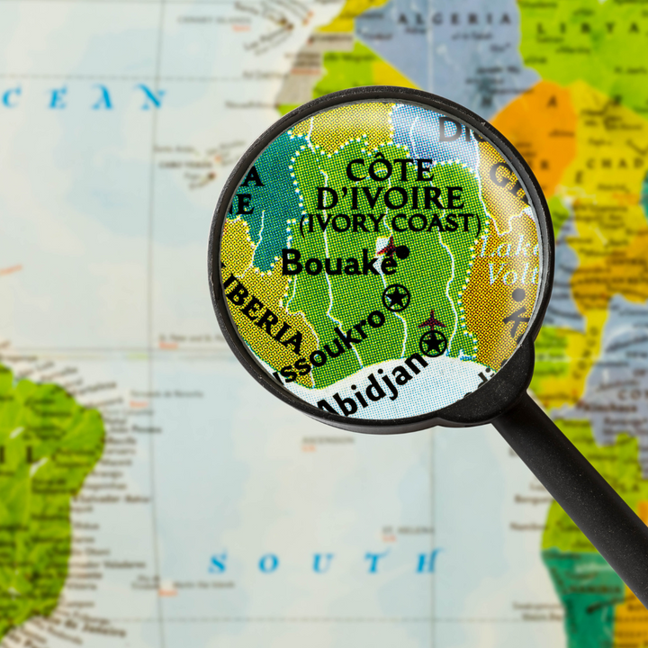 La Côte d'Ivoire, un Terroir d'Excellence pour la Cajou