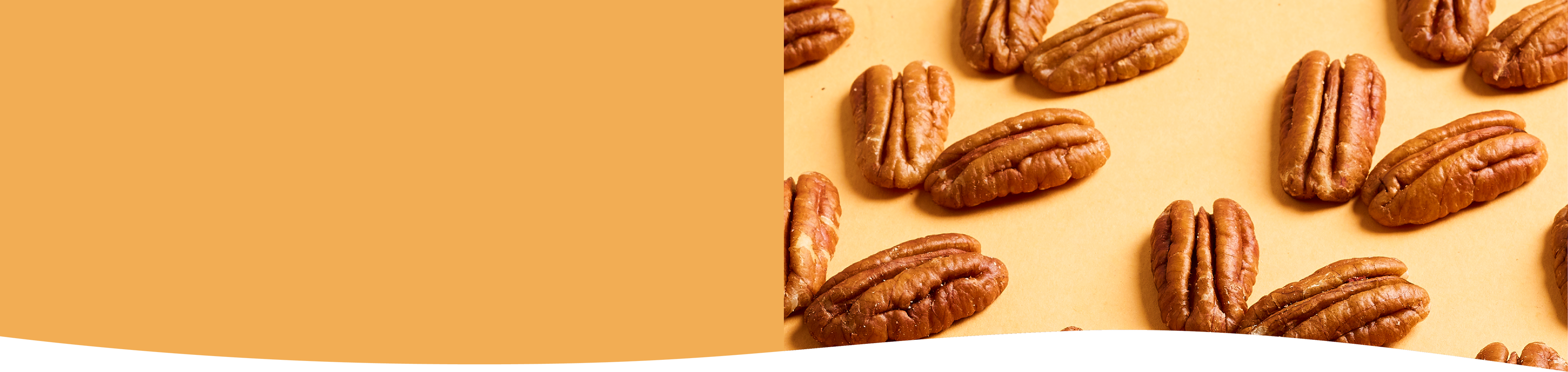 Nous rejoindre - Daco Bello