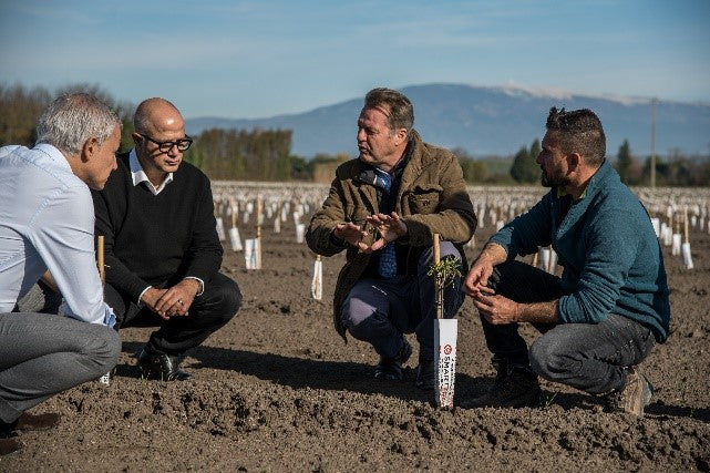 Compagnie des Amandes